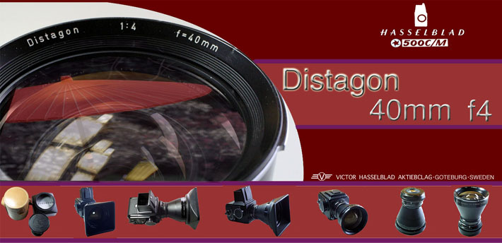 D40