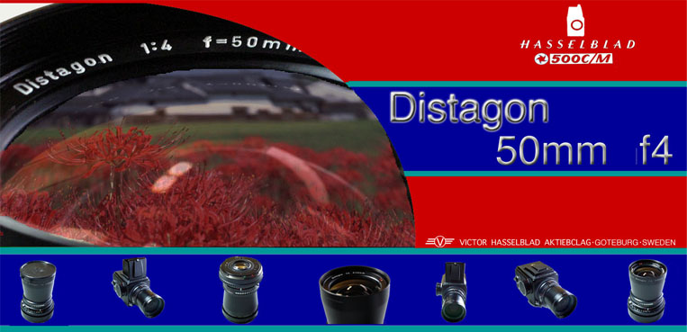 D50